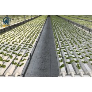 Indoor Farming Vertical Hydroponic NFT System Channel 100x50mm 100x100mm