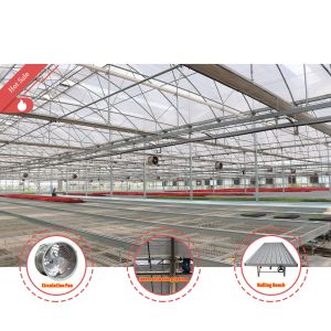 High Intensity Multi-span Arch Plastic Film Greenhouse Hot Dip Galvanized Steel
