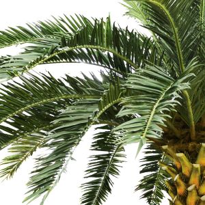 Big Tropical Artificial Date Palm Tree No Nursing Highly Simulated Plants