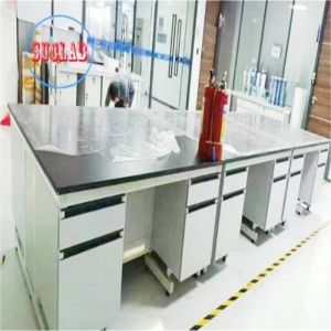 OEM/ODM Acceptable Modular Lab Furnitures Design with Sand Blasting