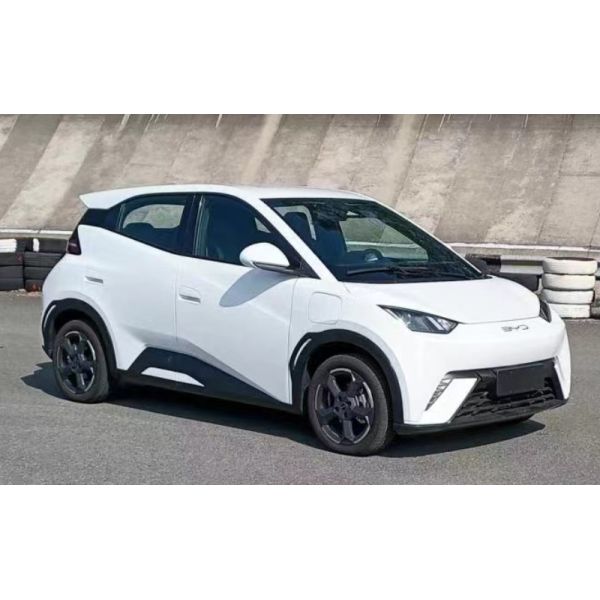 30.8 KWh Battery Capacity BYD Seagull Haiou Hatchback Mini EV Car for Adults in 2023