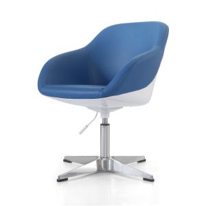 classical modern.Shared Workspace Furniture leisure chair