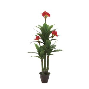Quality Hippeastrum,Amaryllis,festival flowers,floral flower for sale