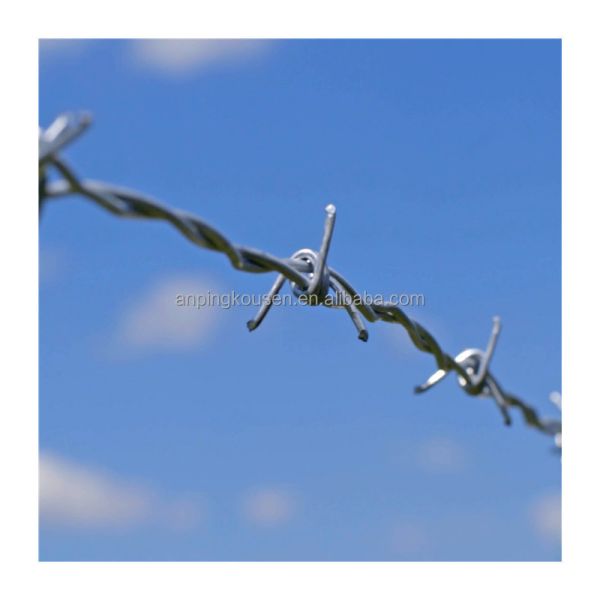 Buy 50kg Barbed Wire Roll Two Wire Twist 1.5-3cm Barb Length for Customer Requirements at wholesale prices
