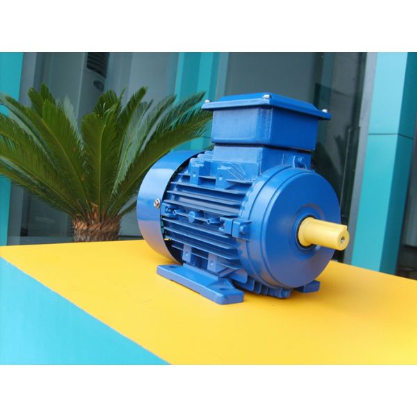 YE3 Electric Motor 2-Pole Three-Phase Asynchronous AC Induction Enclosed IE3 Efficiency 3000rpm 380V/220V AC Voltage for Pump