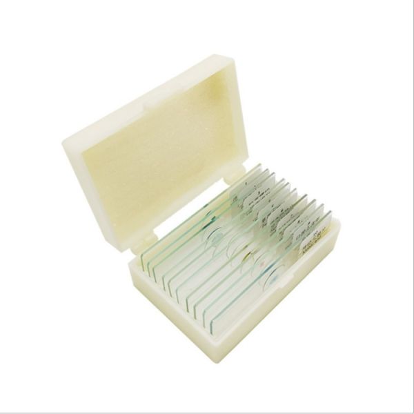Buy 12pcs Microscope Customization Prepared Botany Slides With Storage Case at wholesale prices