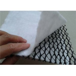 Geocomposite Drain Tri - Dimension Geocomposite Drainage Geonet 5mm Thickness