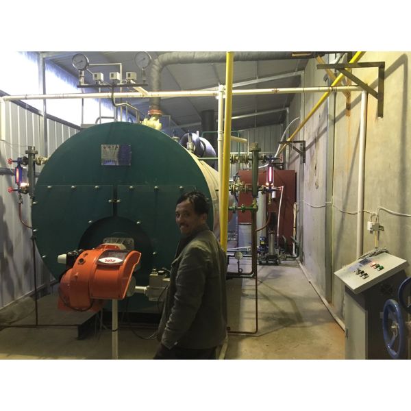 Buy Beverage Factory Industrial Steam Boilers , High Efficiency Natural Gas Boiler at wholesale prices