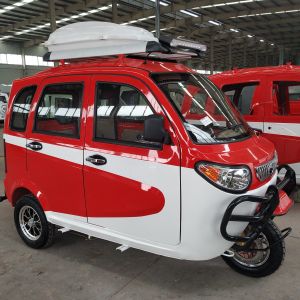 520kgs 200 Watt 3 Wheeled Scooters Motorcycles