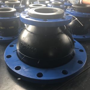 Chemical Pipeline Concentric Reducer Rubber Expansion Joint With Different Paths