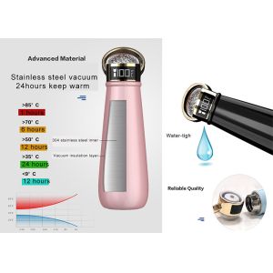 EW-DD3 Sports Drink Bottle 250*76mm 420ml Inner Tank With Drinking Reminder