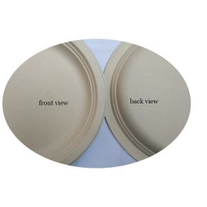 10 Inch 17g Eco Friendly Sugarcane Paper Plates