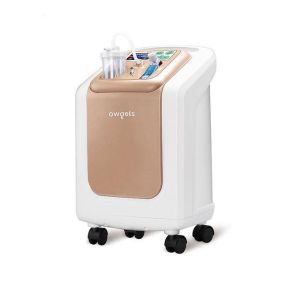 High Purity Electric Oxygen Concentrator Machine Hosptical French Molecular