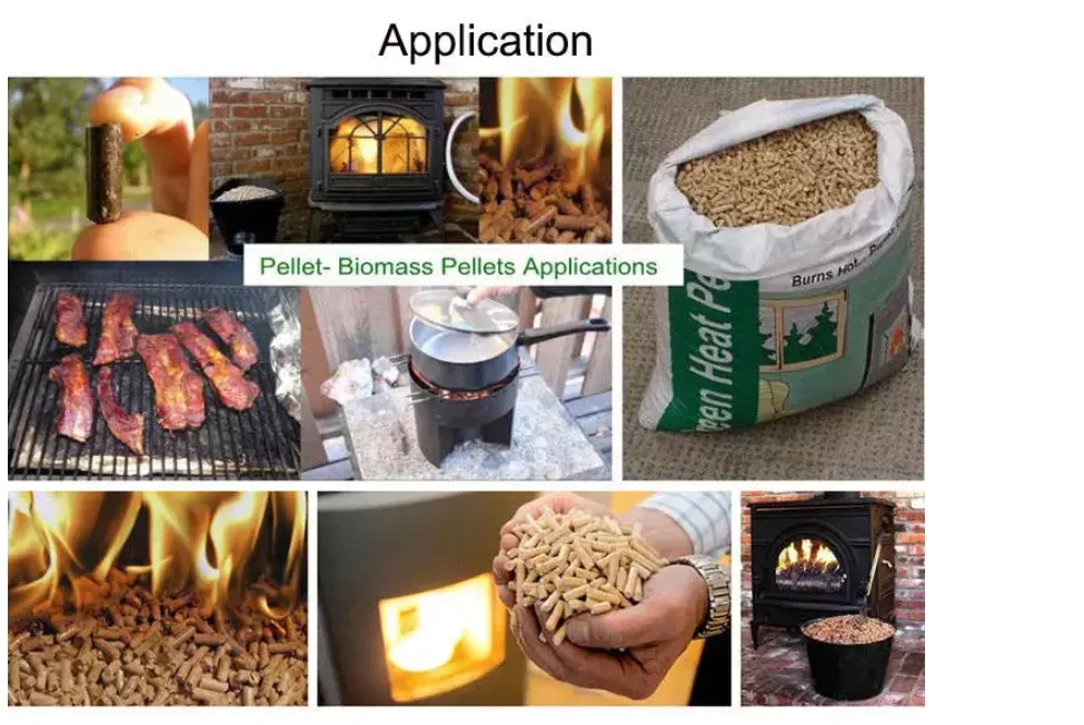 1-10TPH Biomass Pellet Production Line Pine Straw Wood Chips Making Machine