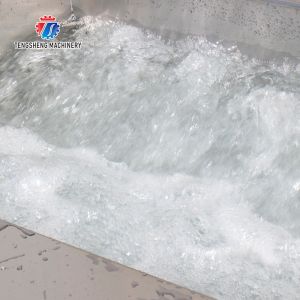 180KG Multifunctional vegetable washing machine eddy current washing machine