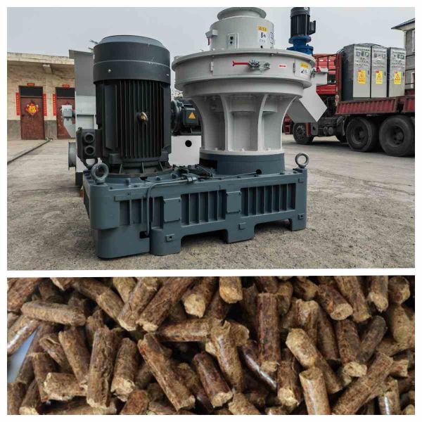 2-3tph Ring Die Pellet Machine Whole Biomass Pellet Production Line With CE
