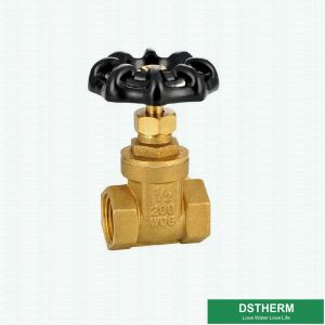 200 WOG 1/2 Inch Green Iron Handle Customized BSPT Heavier Style Brass Gate