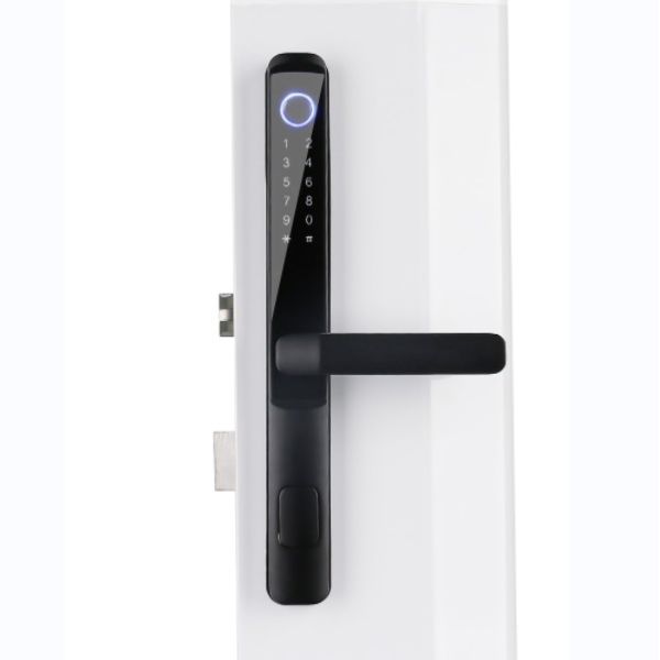 Multifunctional Glass Door Smart Lock Tuya TTlock Digital Door Lock
