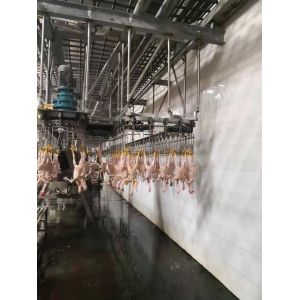 Automatic Poultry Scalder Machine stainless steel 304 Poultry Processing