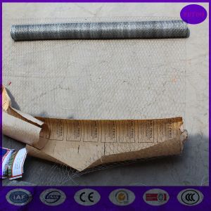 Galvanized Chicken Wire mesh roll for animals housing