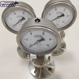 1/4 1/2 Inch NPT BSP Diaphragm Gauge Bottom Connection Location ±2.5% 1.6% Accuracy