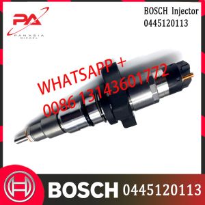 0445120113 Nozzle DSLA143P1058 Diesel Common Rail Fuel Injector 5254686