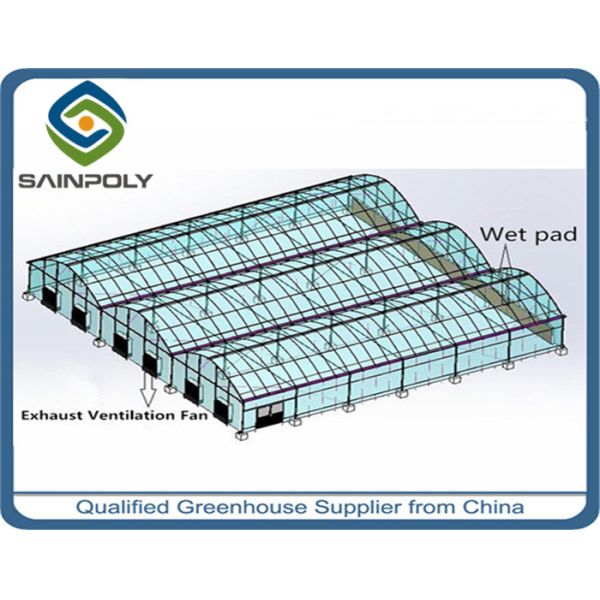 Buy Economical Gothic Arch Greenhouse , Commercial Greenhouse Structures Customized Design at wholesale prices