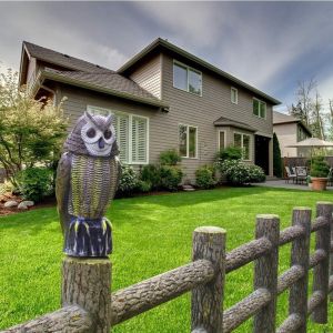 Electronic Ultrasonic Insect Repellent Solar Rat Repellent with PIR Sensor Light