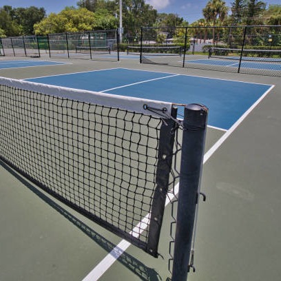 Buy Vinyl Material Pickleball Court Mat Slip Resistant Smooth Surface at wholesale prices