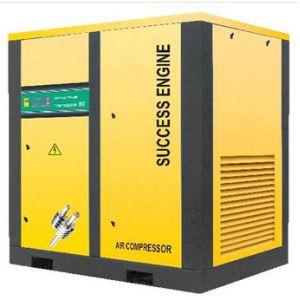 Professional Moveable Screw Air Compressor with Air Receiver