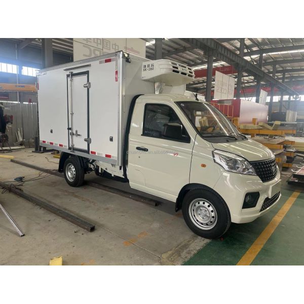 Refrigerated Truck with Manual Transmission and Energy Sources