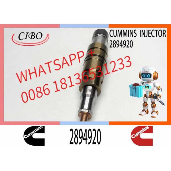 Construction Machinery Parts Fuel Injector For ISZ13 Diesel 1881565 2872405 2894920 1948565 For CUMMINS Diesel Engine