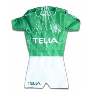 Easy Control Promotional Kites Convenient Carry Durable High Performance