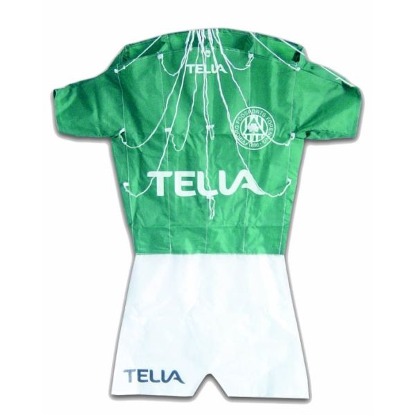 Buy Easy Control Promotional Kites  Convenient Carry Durable High Performance at wholesale prices