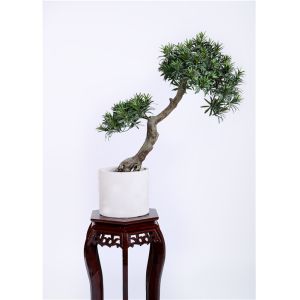China High Imitation Bonsai Pine Tree 80cm UV Resistance Unprecedented Authenticity on sale
