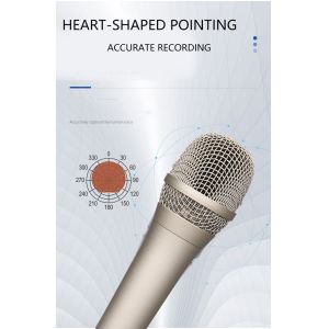 OEM ODM Home Studio Microphone 12mv/PA Karaoke Singing Mic