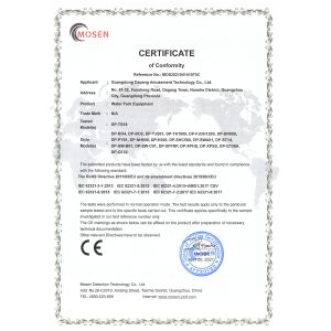 Guangdong Dapeng Amusement Technology Co., Ltd. Certifications