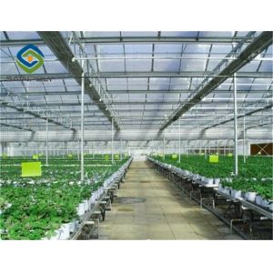 Polycarbonate PC Sheet Greenhouse With Irrigation Equipment