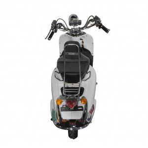 LY-FGG19Electric motorcycle Electric bicycle adult electric scooter