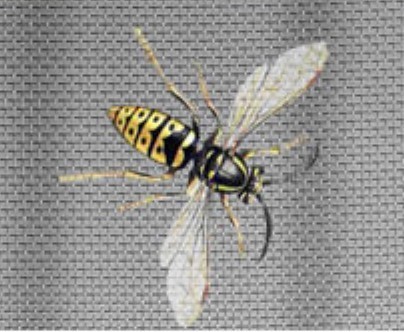 Buy Stainless Steel Window Screen at wholesale prices