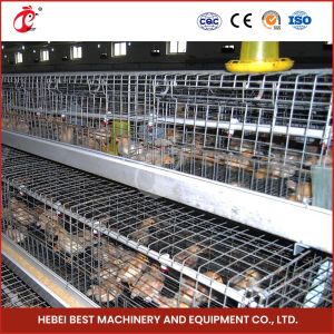 Hot Dipped Galvanized Chick Brooder Cage Automatic Ventilation Iris