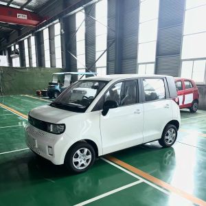 Made in BLAVAL High Speed Adult Electric Car RHD Chinese Electric Car 2024