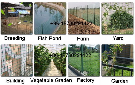 Garden Holland PVC Coated Fence Wire Mesh