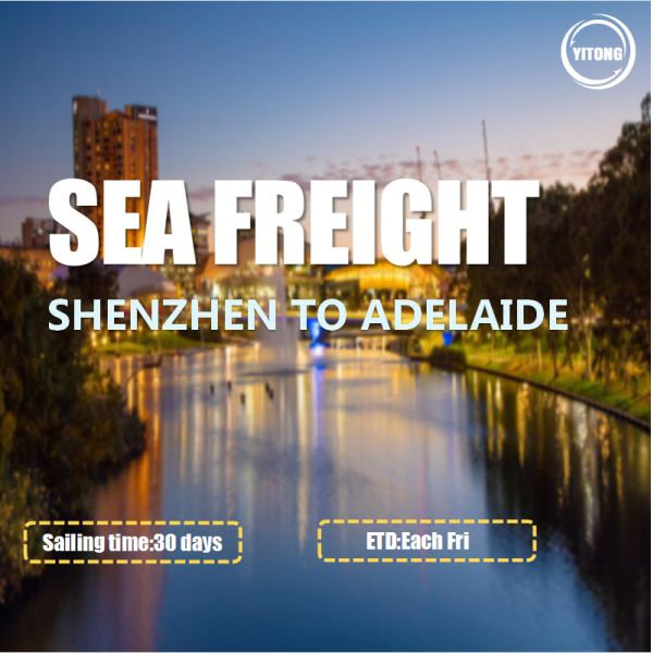 Buy International Sea Freight Shipping Shenzhen To Adelaide at wholesale prices