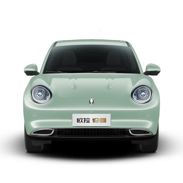 Buy The cheapest new energy vehicle in 2022: EULA luxury ternary lithium battery high-speed vehicle at wholesale prices