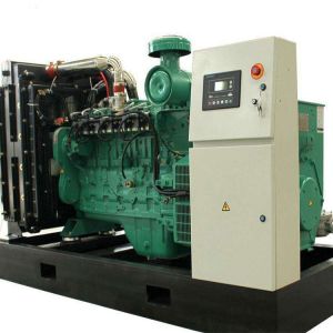 Electric Start Biogas Generator Equipment Customized Power Output
