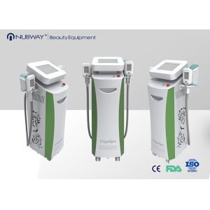 Non Invasive Body Slimming Machine 2 Handpiece Cryolipolysis Fat Freezing Machine