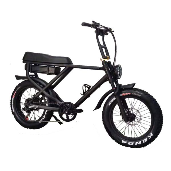Removable Battery Full Suspension 1000W Electric Fat Bike with Lithium Power Supply