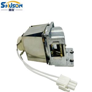 RLC080 Viewsonic Projector Lamps