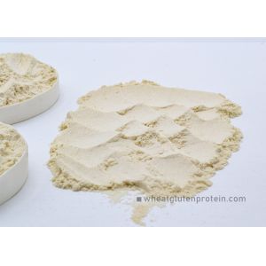 China Dried Vital Wheat Gluten Meal , Light Yellow 85% Protein Content on sale